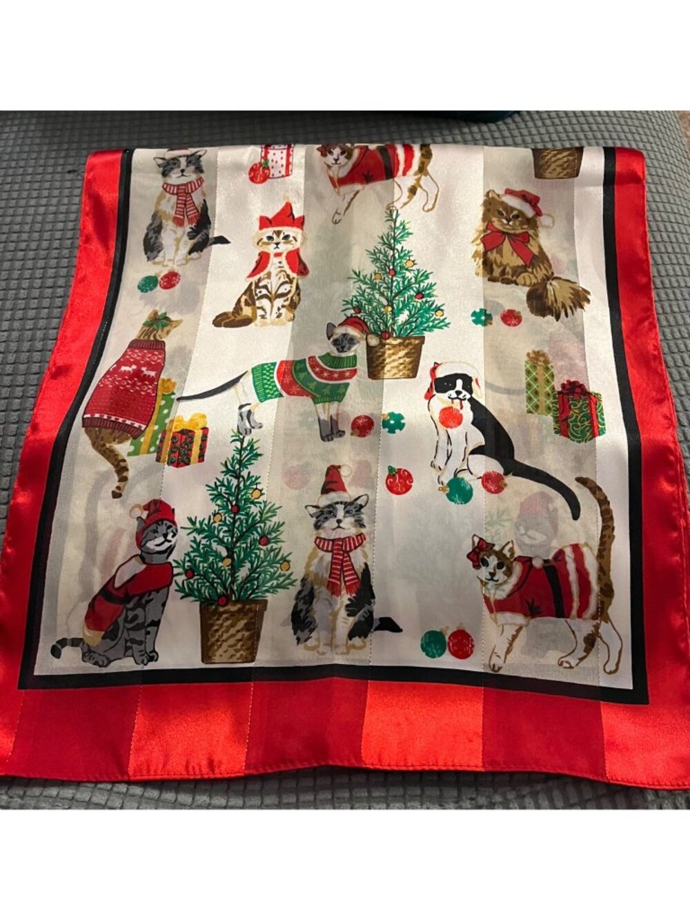 Festive Holiday Cat Kitten Scarf A1278